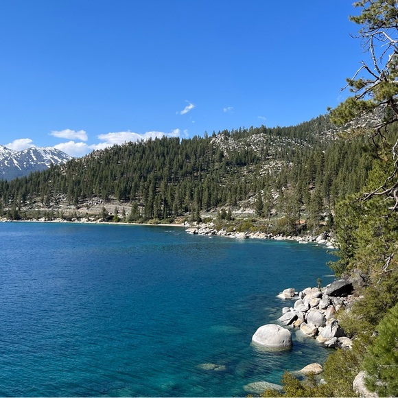 Meet your Posher, Festive Fashion - Picture 1 of 1